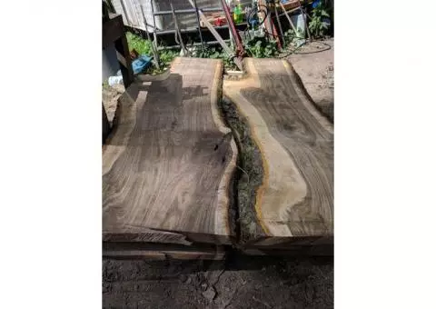 black walnut red oak cherry and more domistic wood supplies